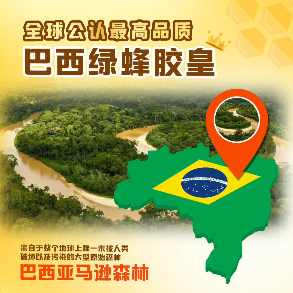 JYNNS Brazilian Green Propolis 金氏巴西绿色蜂胶皇 10ml