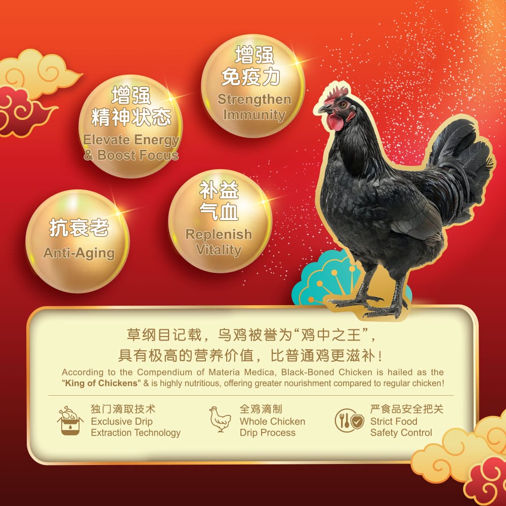 (BUY 1 FREE 1) EC05 JYNNS Genki Drip Essence of Black-Boned Chicken