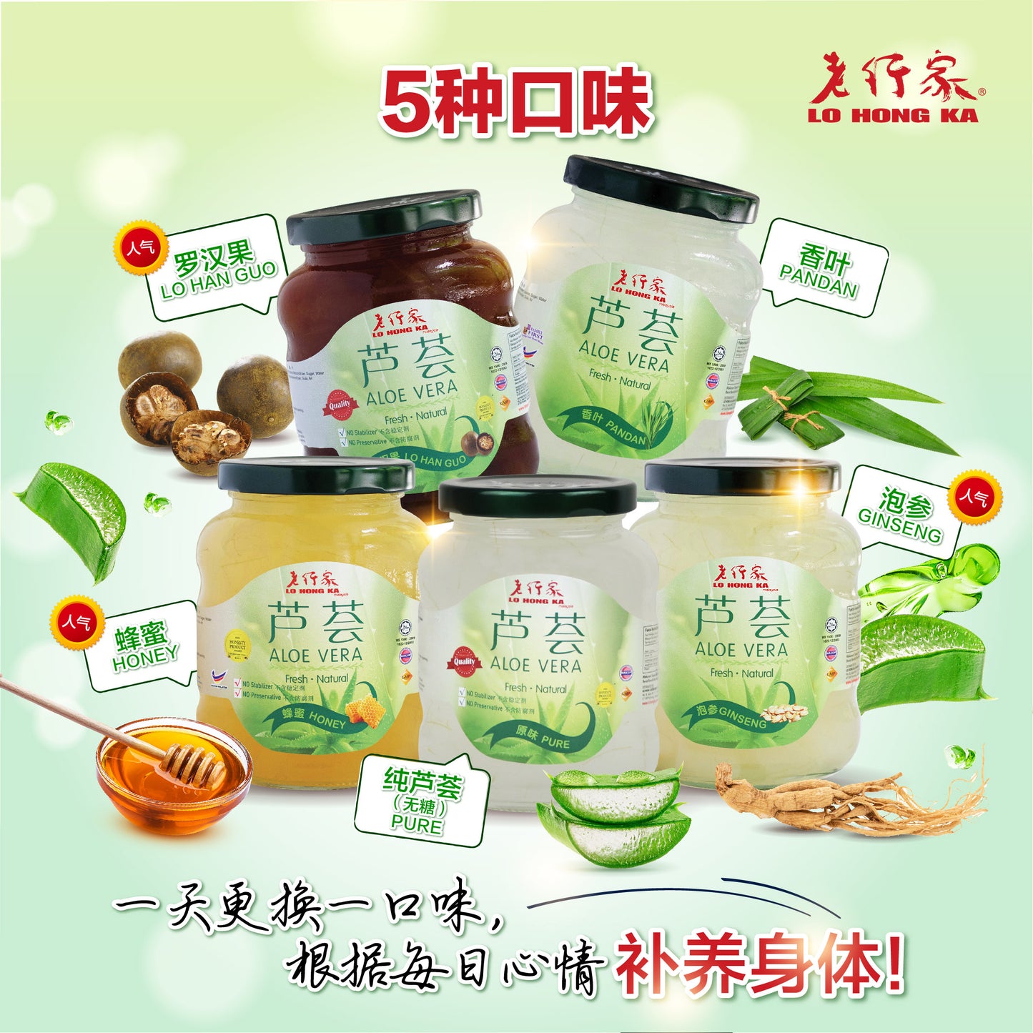 Lo Hong Ka Aloe Vera Ginseng 老行家芦荟 - 泡参 350g