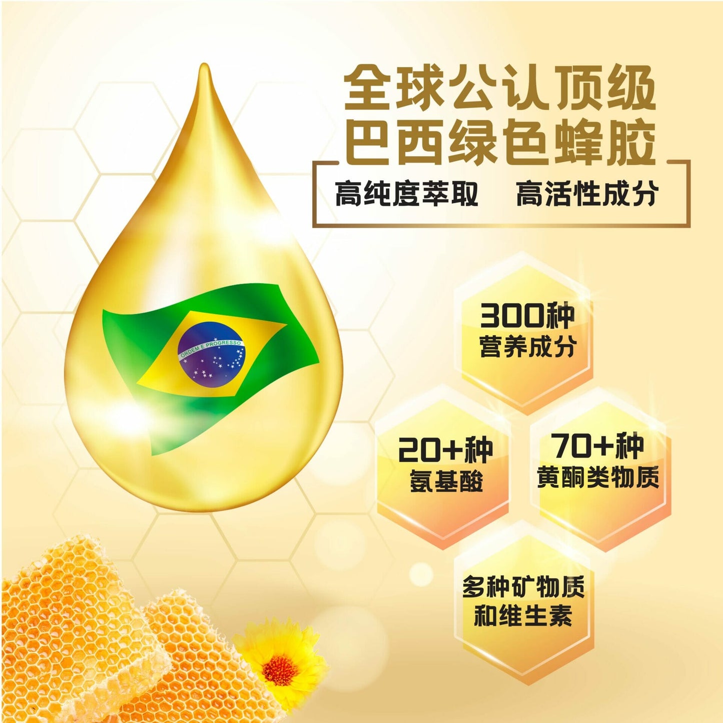 JYNNS Brazilian Green Propolis 金氏巴西绿色蜂胶皇 10ml